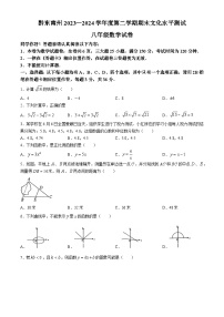 贵州省黔东南苗族侗族自治州2023-2024学年八年级下学期期末数学试题