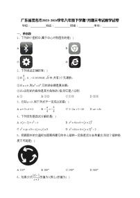 广东省茂名市2023-2024学年八年级下学期7月期末考试数学试卷(含答案)
