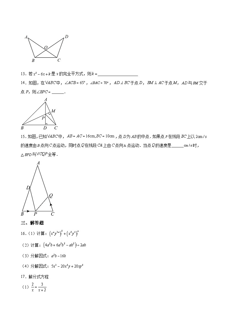 河南省驻马店市汝南县2023-2024学年八年级上学期期末素质测试数学试卷(含解析)第3页