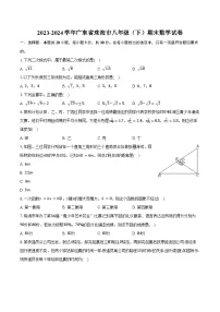 2023-2024学年广东省珠海市八年级（下）期末数学试卷（含答案）