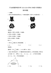 [数学][期末]广东省揭阳市普宁市2023-2024学年八年级下学期期末试题(解析版)