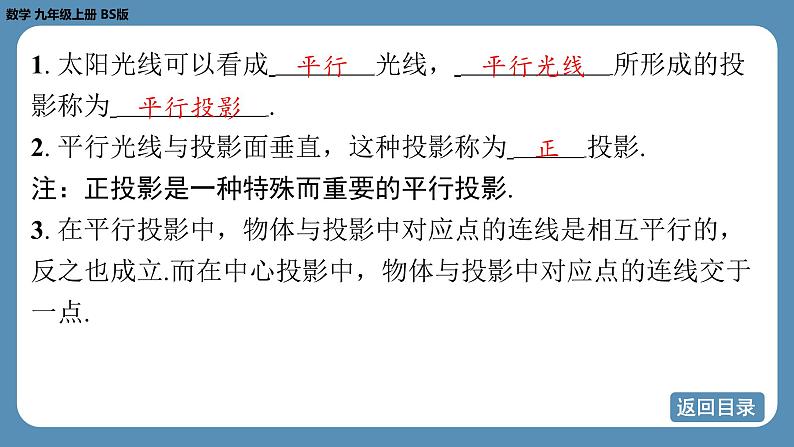 北师版九上数学5.1 投 影(第二课时) 课件第4页