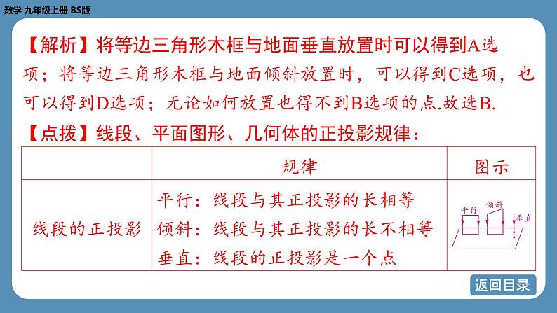 北师版九上数学5.1 投 影(第二课时) 课件第7页
