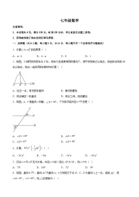 陕西省西安市西咸新区泾河新城五校联考2023-2024学年七年级下学期期中考试数学试卷(含解析)