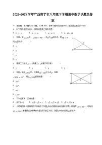 2022-2023学年广西南宁市八年级下学期期中数学试题及答案