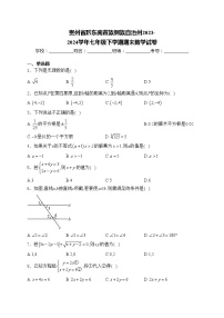 贵州省黔东南苗族侗族自治州2023-2024学年七年级下学期期末数学试卷(含答案)