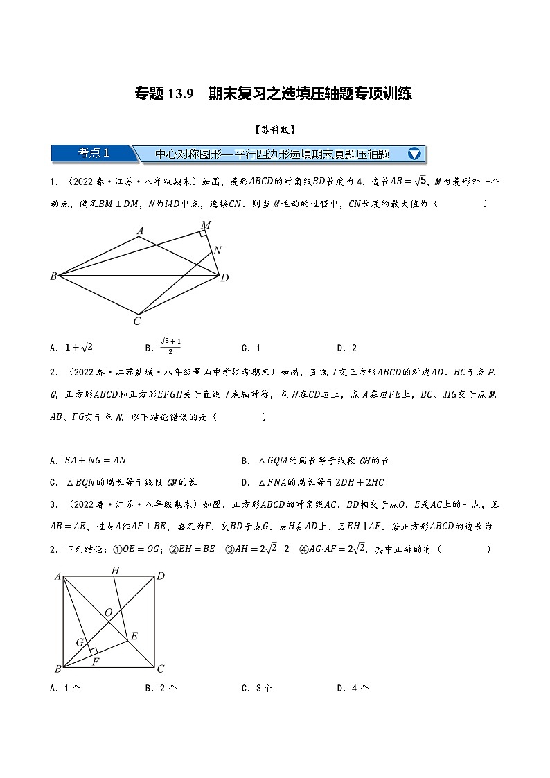 苏科版八年级数学下册精品特训专题13.9期末复习之选填压轴题专项训练(原卷版+解析)01