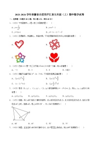 2023-2024学年安徽省合肥市庐江县九年级(上)期中数学试卷