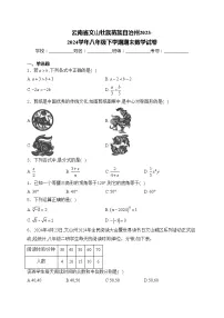 云南省文山壮族苗族自治州2023-2024学年八年级下学期期末数学试卷(含答案)
