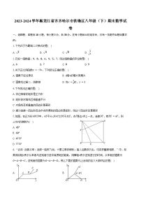 2023-2024学年黑龙江省齐齐哈尔市铁锋区八年级（下）期末数学试卷（含答案）