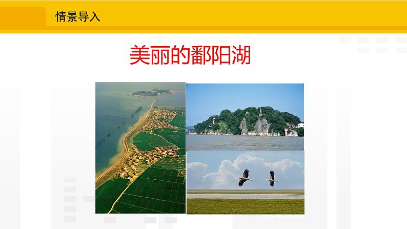 北师大版(2024版)七年级数学上册课件 6.2.1收集数据03