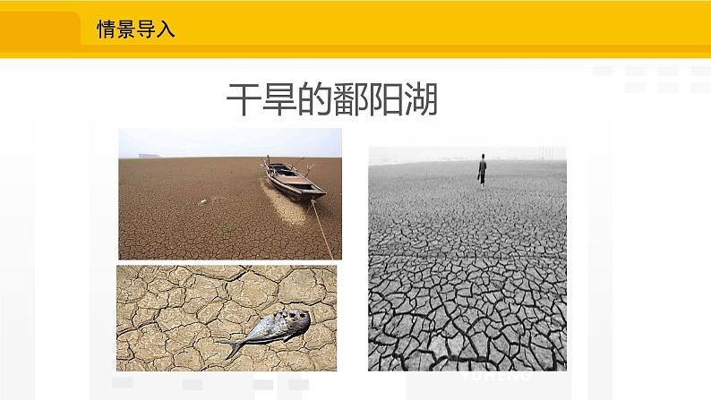北师大版(2024版)七年级数学上册课件 6.2.1收集数据04