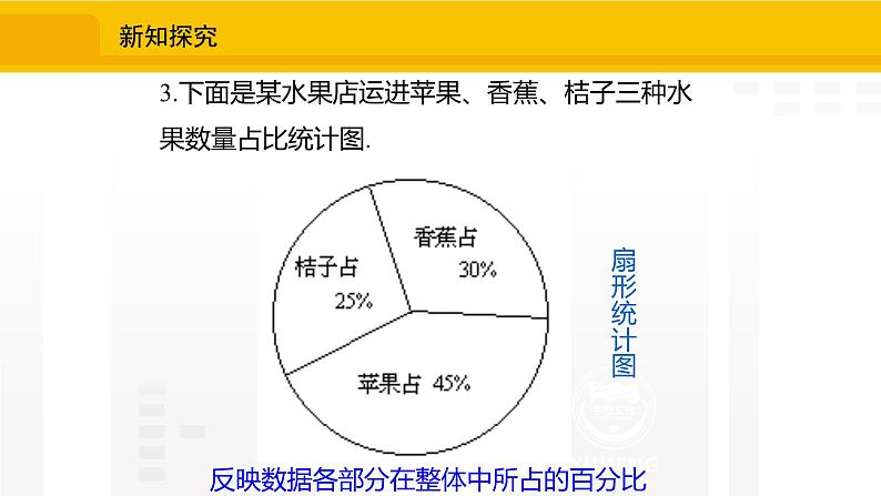 北师大版(2024版)七年级数学上册课件 6.2.1收集数据07