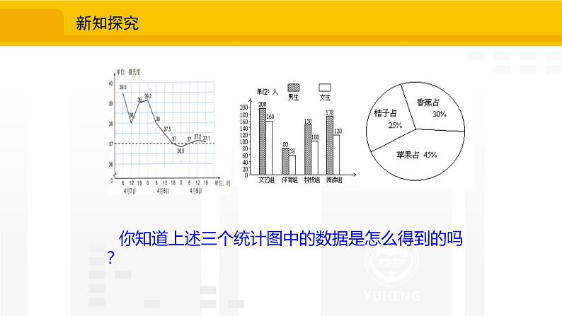 北师大版(2024版)七年级数学上册课件 6.2.1收集数据08