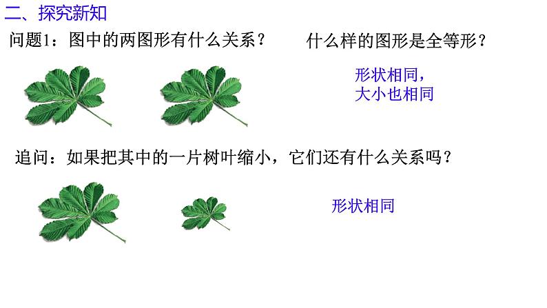 青岛版 初中数学 9上 1.1 相似多边形(同步课件)-2024-2025学年9上数学同步课堂(青岛版)04