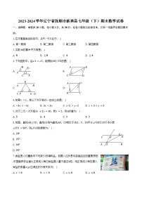 2023-2024学年辽宁省抚顺市新宾县七年级（下）期末数学试卷（含答案）