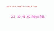 初中数学2.2 30°，45°，60°角的三角比示范课课件ppt