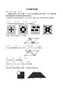 江苏省连云港市灌云县2023-2024学年七年级下学期期中考试数学试卷(含答案)
