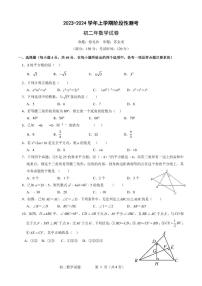 福建省泉州南安市实验中学2023-2024学年八年级上学期12月月考数学试题