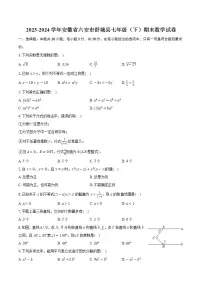 2023-2024学年安徽省六安市舒城县七年级（下）期末数学试卷（含答案）