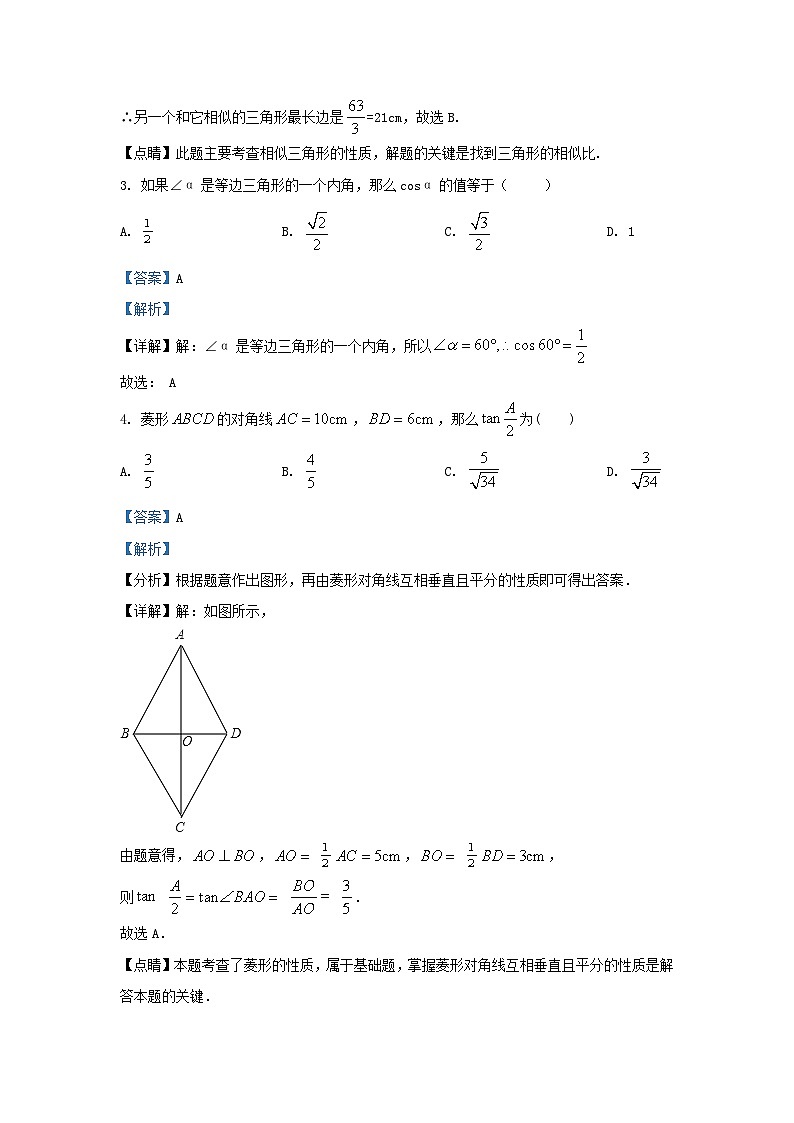 2023-2024学年黑龙江省哈尔滨市道里区九年级上学期数学10月月考试题及答案第2页