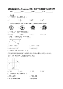 湖北省武汉市洪山区2023-2024学年七年级下学期期中考试数学试卷(含答案)