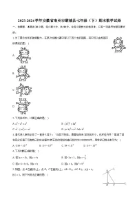 2023-2024学年安徽省亳州市蒙城县七年级（下）期末数学试卷（含详细答案解析）