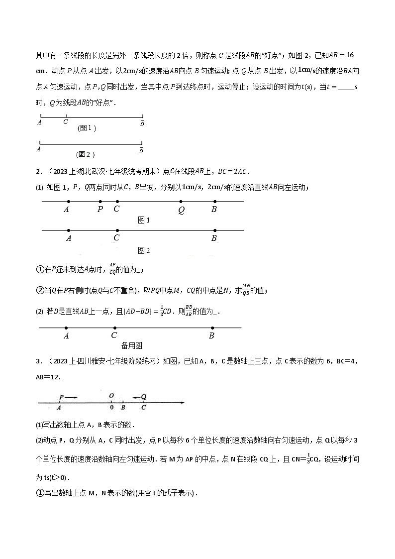 专题6.8 线段中的四种常见思想方法(浙教版)(原卷版)第3页