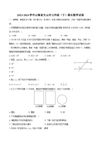 2023-2024学年云南省文山州七年级（下）期末数学试卷（含详细答案解析）