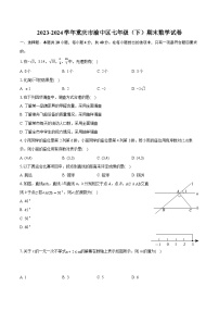 2023-2024学年重庆市渝中区七年级(下)期末数学试卷(含详细答案解析)
