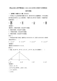 [数学][期末]黑龙江省大庆市肇源县2023-2024学年七年级下学期期末试题(解析版)