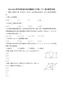 2023-2024学年吉林省长春市德惠市八年级（下）期末数学试卷（含详细答案解析）