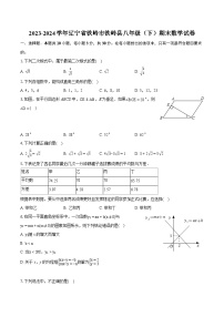 2023-2024学年辽宁省铁岭市铁岭县八年级（下）期末数学试卷（含详细答案解析）