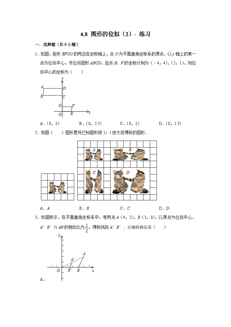 北师大版数学九年级上册 4.8 图形的位似第2课时 课件+导学案+教学设计+分层练习01