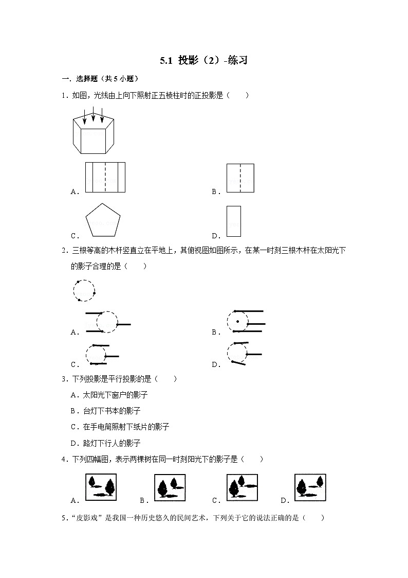 北师大版数学九年级上册 5.1 投影 第2课时 课件+导学案+教学设计+分层练习01
