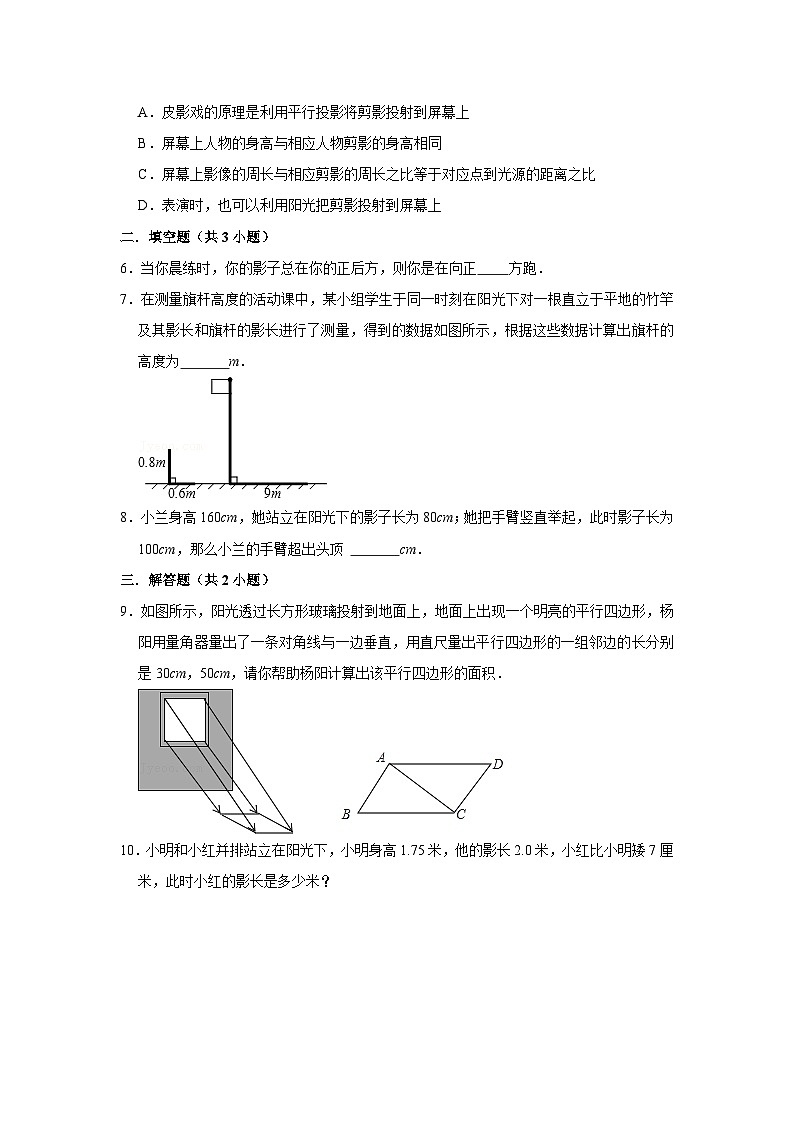 北师大版数学九年级上册 5.1 投影 第2课时 课件+导学案+教学设计+分层练习02