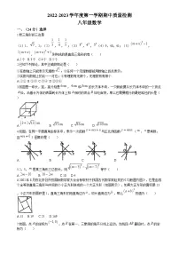 山东省 青岛（市南）海信学校2022-2023学年八年级上学期期中数学试题