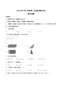 安徽省凤台县多校2024届九年级下学期中考三模数学试卷(含解析)