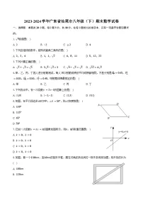 2023-2024学年广东省汕尾市八年级（下）期末数学试卷（含答案）