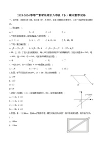 2023-2024学年广东省汕尾市八年级(下)期末数学试卷(含答案)