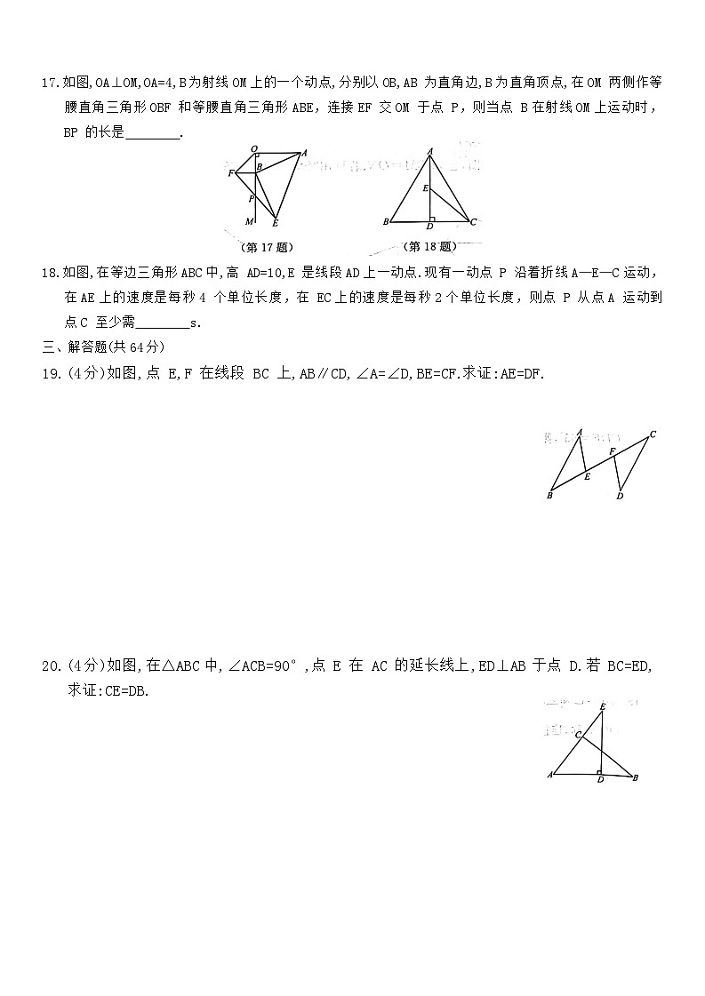 2023-2024学年苏科版数学八年级上册期中测试卷第3页