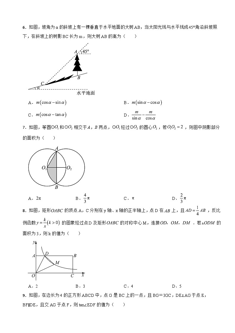 2024年北师大版数学中考仿真模拟试题附答案第2页