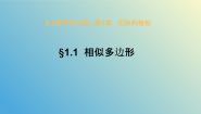 青岛版九年级上册1.1 相似多边形完美版教学课件ppt