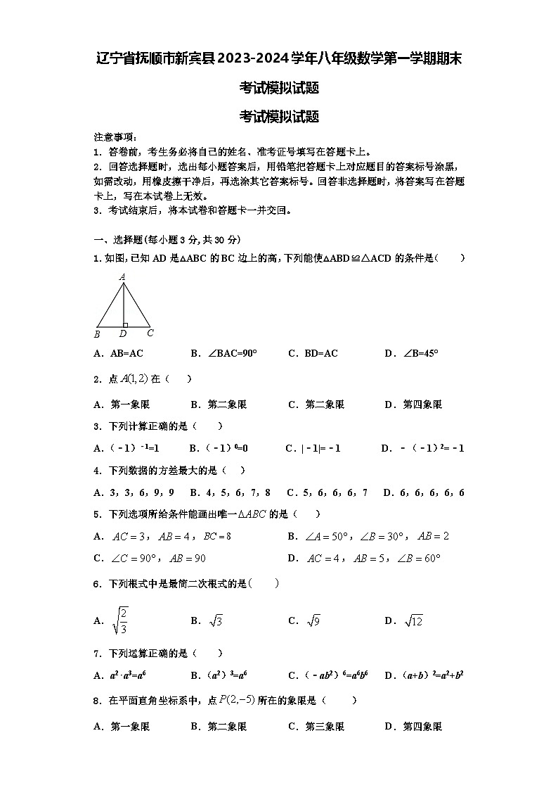 辽宁省抚顺市新宾县2023-2024学年八年级数学第一学期期末考试模拟试题【含解析】第1页