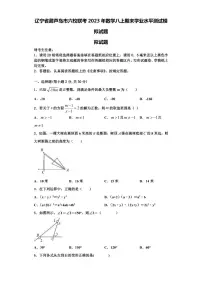 辽宁省葫芦岛市六校联考2023年数学八上期末学业水平测试模拟试题【含解析】