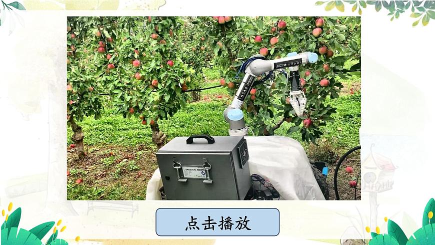 第1課時 代數(shù)式第3頁