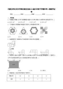 内蒙古呼伦贝尔市鄂伦春自治旗2024届九年级下学期中考一模数学试卷(含答案)
