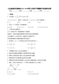山東省德州市陵城區(qū)2023-2024學(xué)年七年級(jí)下學(xué)期期末考試數(shù)學(xué)試卷(含答案)