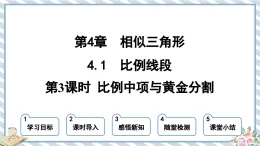 浙教版初中数学九年级上册 第4章 4.1.3 比例中项与黄金分割 课件