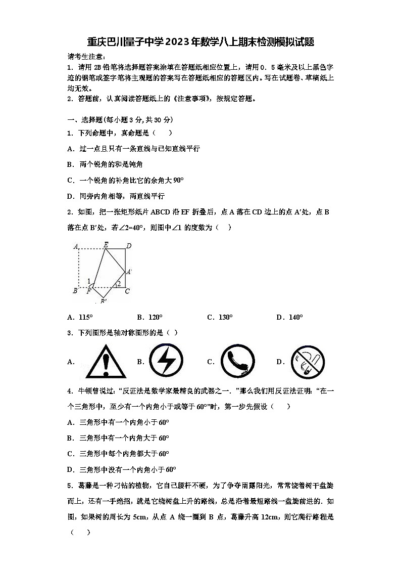 重庆巴川量子中学2023年数学八上期末检测模拟试题【含解析】01